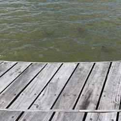 Puerto Canoas - Tigre