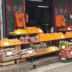 Puerto de Frutos - Tigre