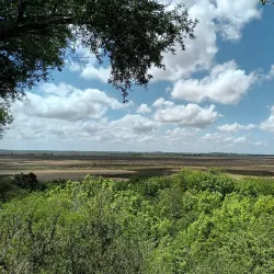 Reserva Natural Otamendi - Tigre