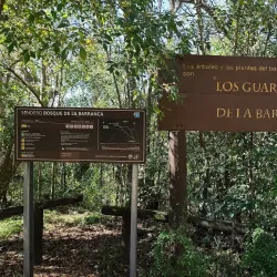 Reserva Natural Otamendi - Tigre