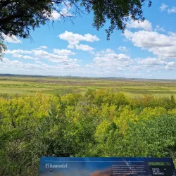 Reserva Natural Otamendi - Tigre