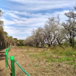 Reserva Natural Otamendi - Tigre