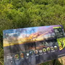 Reserva Natural Otamendi - Tigre