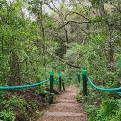 Reserva Natural Otamendi - Tigre
