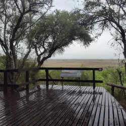 Reserva Natural Otamendi - Tigre