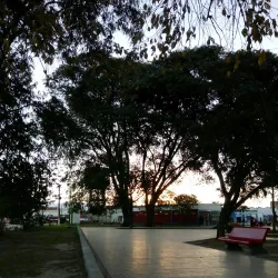 A vibrant street view in Trancas