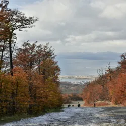 Glacier Martial Chairlift - Ushuaia