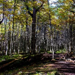 Laguna Esmeralda - Ushuaia