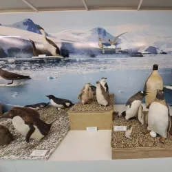 Maritime Museum (Museo Marítimo y del Presidio) - Ushuaia