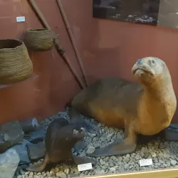 Museo del Fin del Mundo (End of the World Museum) - Ushuaia