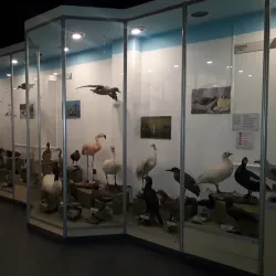 Museo del Fin del Mundo (End of the World Museum) - Ushuaia