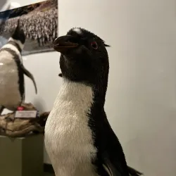 Museo del Fin del Mundo (End of the World Museum) - Ushuaia