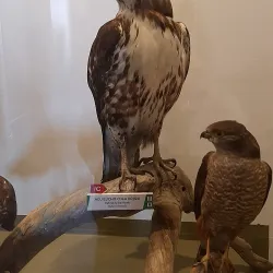 Museo del Fin del Mundo (End of the World Museum) - Ushuaia