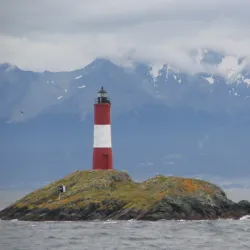 Penguin Island (Isla Martillo) - Ushuaia