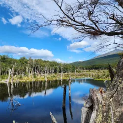 Tierra del Fuego National Park - Ushuaia