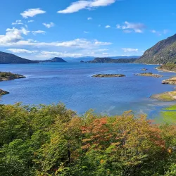Tierra del Fuego National Park - Ushuaia