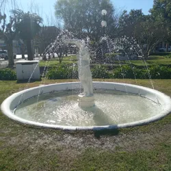 An image showcasing the beauty of Veinticinco de Mayo