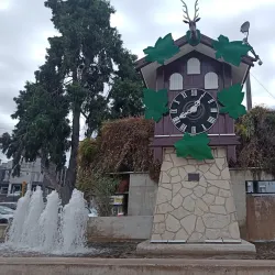 Reloj Cucú (Cuckoo Clock) - Villa Carlos Paz