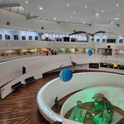 Museo de Ciencias Naturales - Villa María