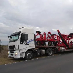 Local Agricultural Fields - Villalonga