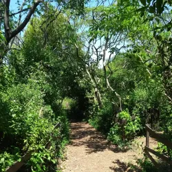 Nearby Natural Reserves - Villalonga