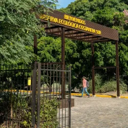 Costanera Sur Ecological Reserve (nearby) - Vincente Lopez