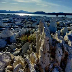 Laguna Blanca - Zapala