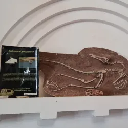 Museo Carlos Ameghino - Zapala