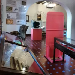 Museo Carlos Ameghino - Zapala