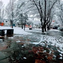 Parque Central de Zapala - Zapala