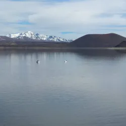Reserva Natural Laguna Blanca - Zapala