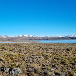 Reserva Natural Laguna Blanca - Zapala