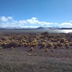 Reserva Natural Laguna Blanca - Zapala