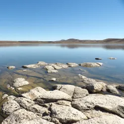 Reserva Natural Laguna Blanca - Zapala