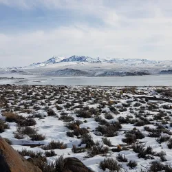 Reserva Natural Laguna Blanca - Zapala