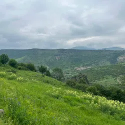 Dzoraget Canyon - Alaverdi
