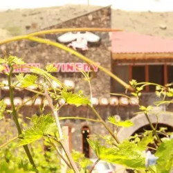 Areni Wine Region (near Armavir) - Armavir