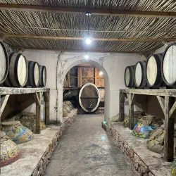 Areni Wine Region (near Armavir) - Armavir