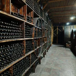Areni Wine Region (near Armavir) - Armavir