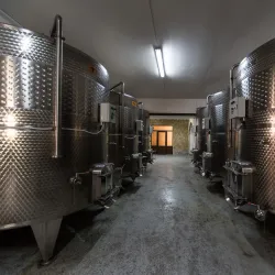 Areni Wine Region (near Armavir) - Armavir