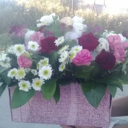 Armavir Archaeological Site - Armavir