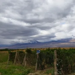 Mount Ararat Viewpoints - Armavir