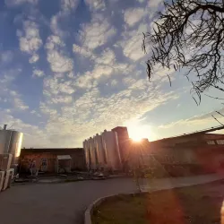 Vedi Wine Factory - Armavir