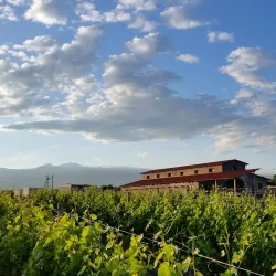 Aragatsotn Wine Region - Ashtarak