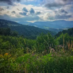 Dilijan National Park - Dilijan