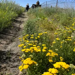 Saint Gregory the Illuminator Church - Masis