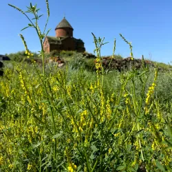 Saint Gregory the Illuminator Church - Masis
