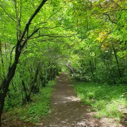 Vanadzor Botanical Garden - Vanadzor