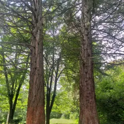 Vanadzor Botanical Garden - Vanadzor