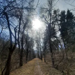 Vanadzor Botanical Garden - Vanadzor